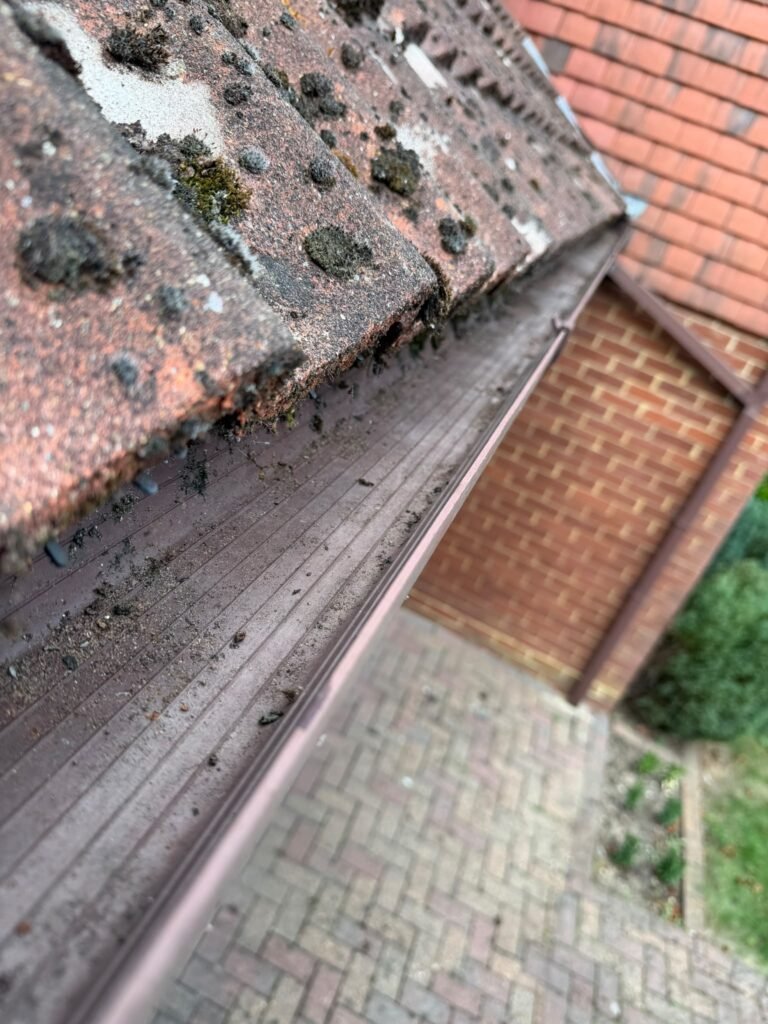 Gutter Cleaning in Bromley