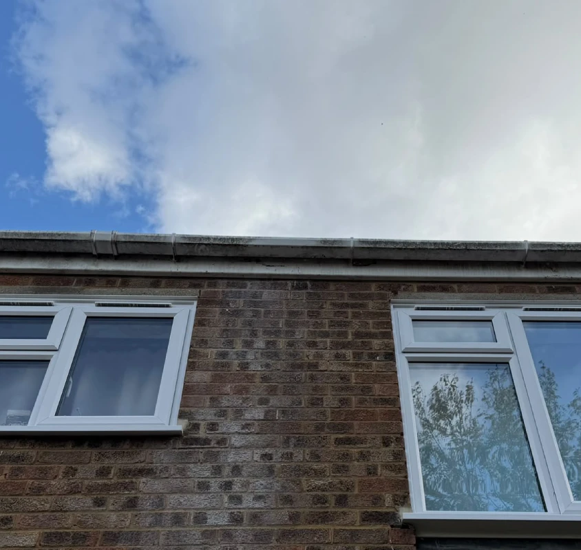Before: Gutter cleaning
